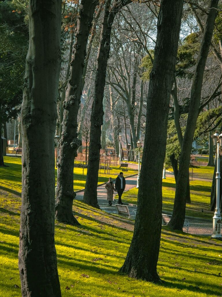 Duas pessoas caminhando em um parque arborizado